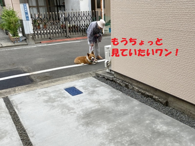 ワンチャン私に一目惚れ？　それとも新築マイホームに？