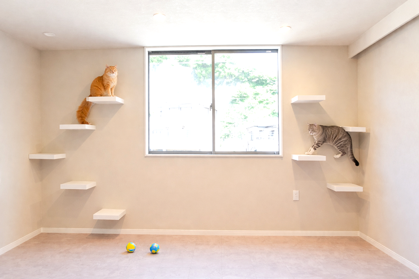 猫ちゃんファーストでつくる心地いいマイホーム=^_^=